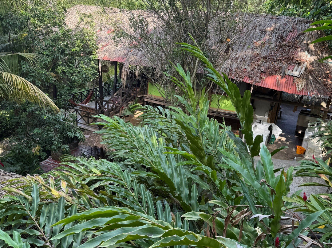 Eco Hostal Yuluka主图