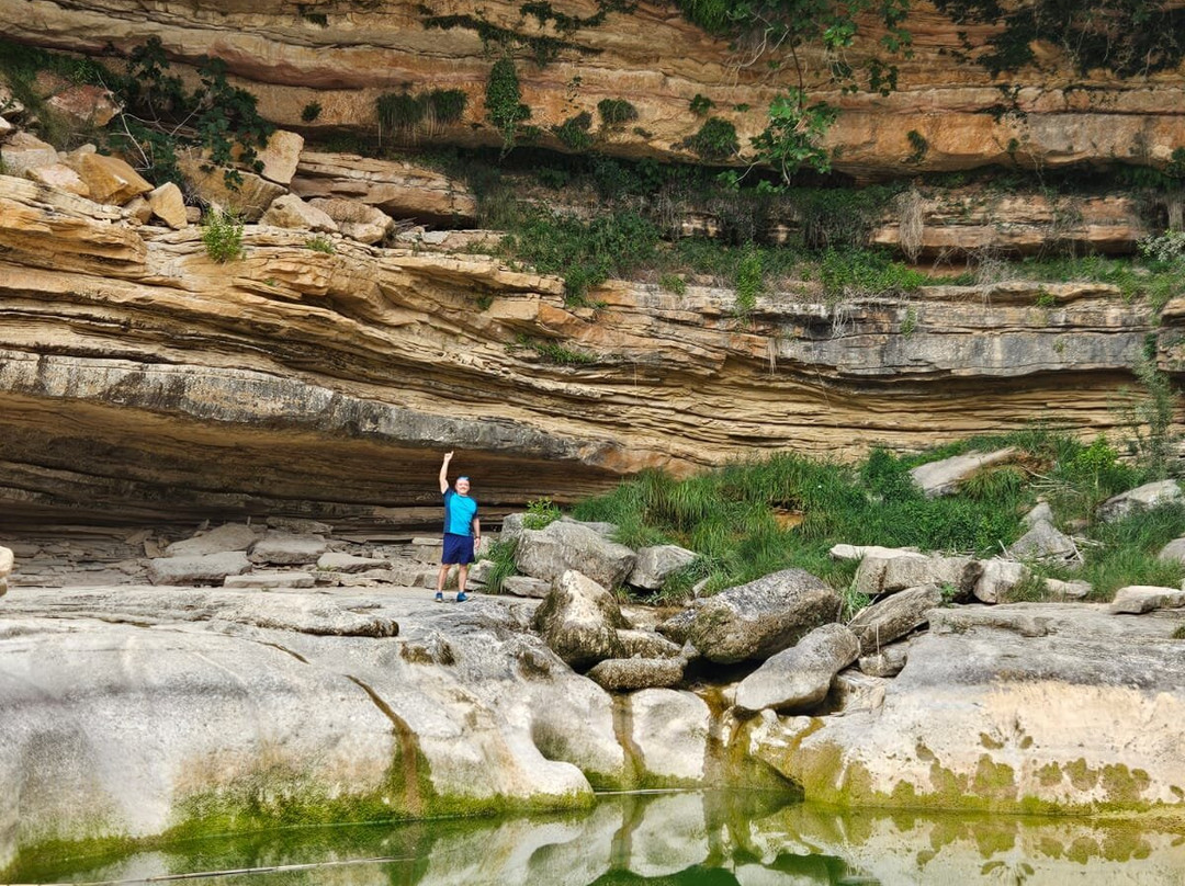 El Salt-La Portellada必去景点