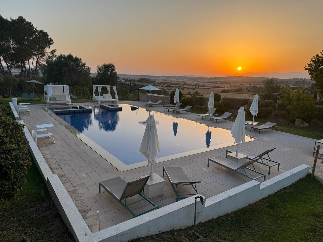 Hotel Es Figueral Nou主图