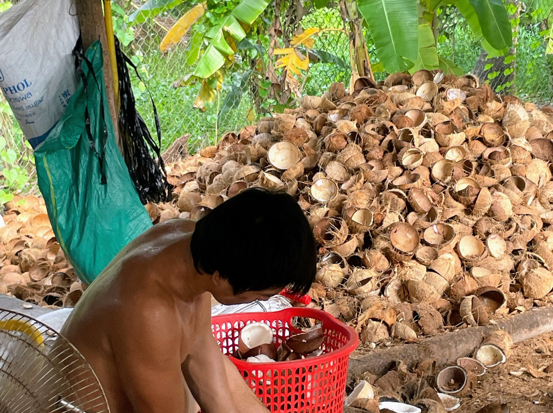 Mr. BikerBentre-Ben Tre必去景点