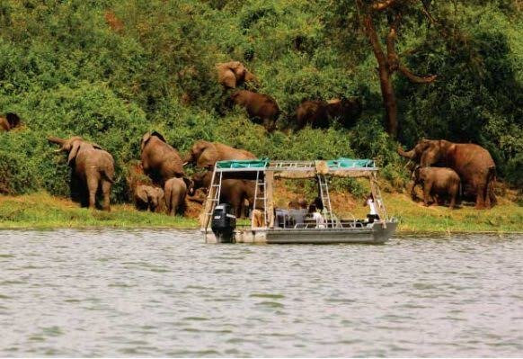 Northern Nature Safaris-Gulu必去景点