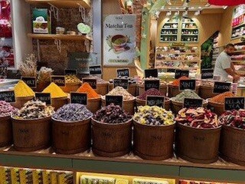 Turkey Istanbul Tours-库萨达斯必去景点