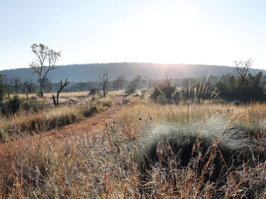 水堡酒店住宿-Shambala Private Game Reserve
