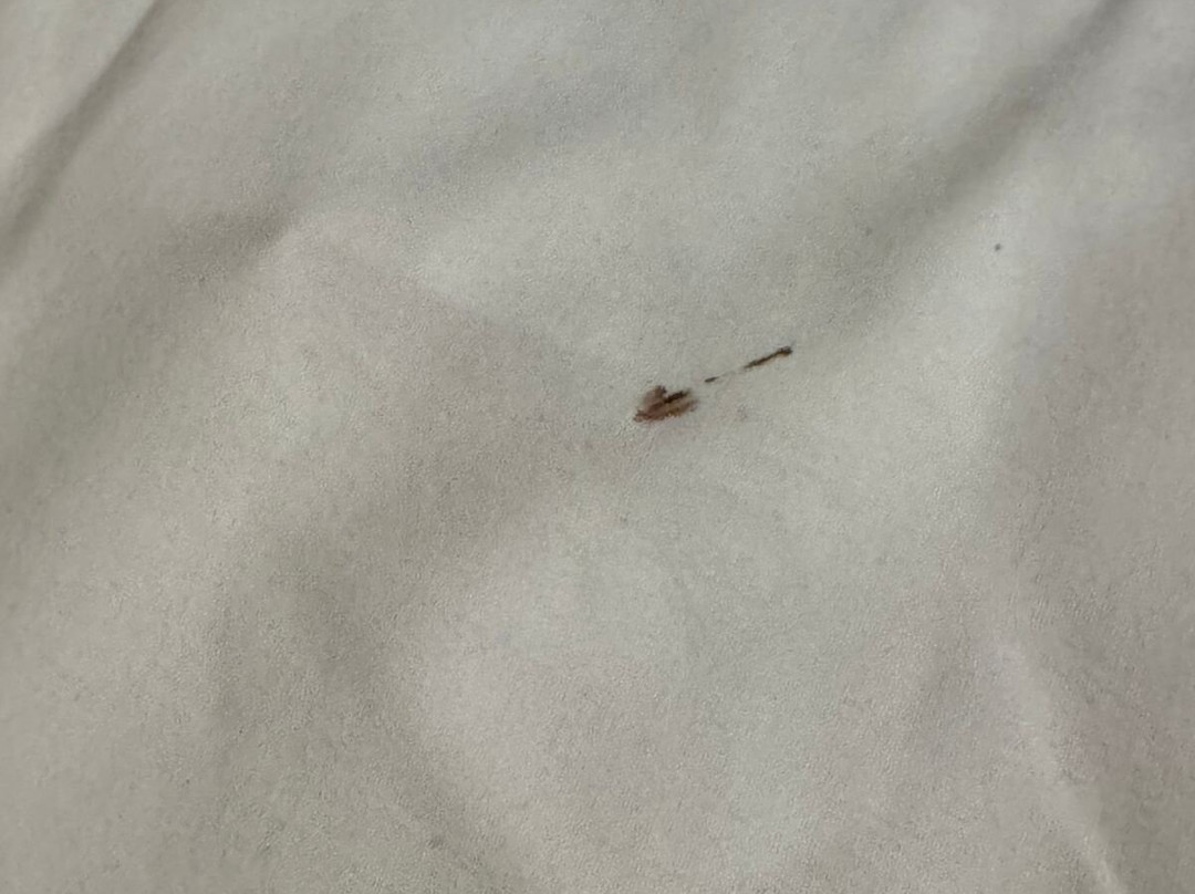 Hotel Alcazar Irun Centro Ciudad主图