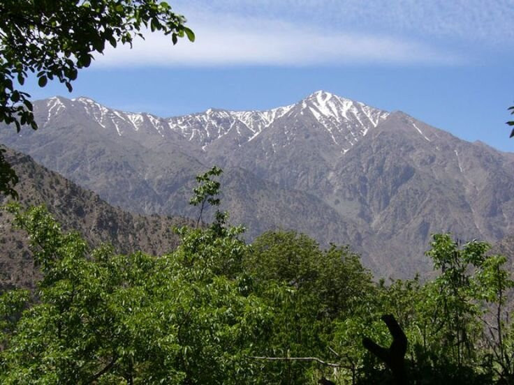 Ouirgane Marrakech Guide