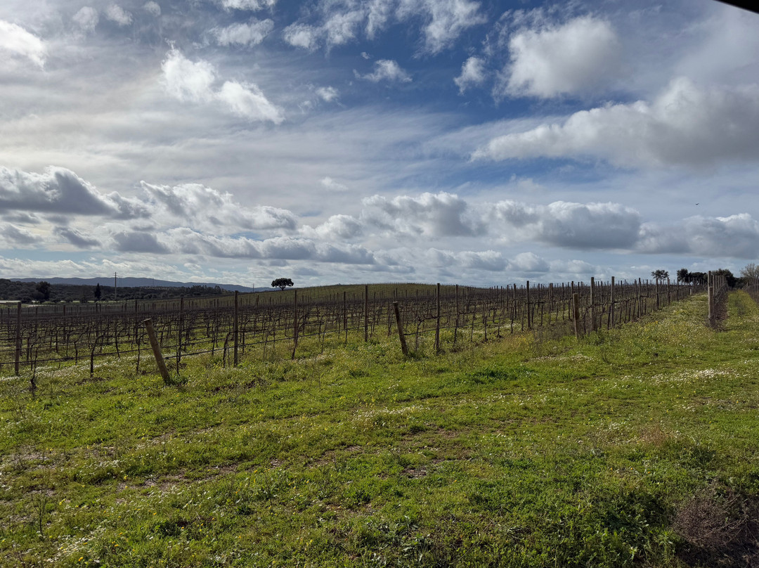 Joao Portugal Ramos Wines-Estremoz必去景点