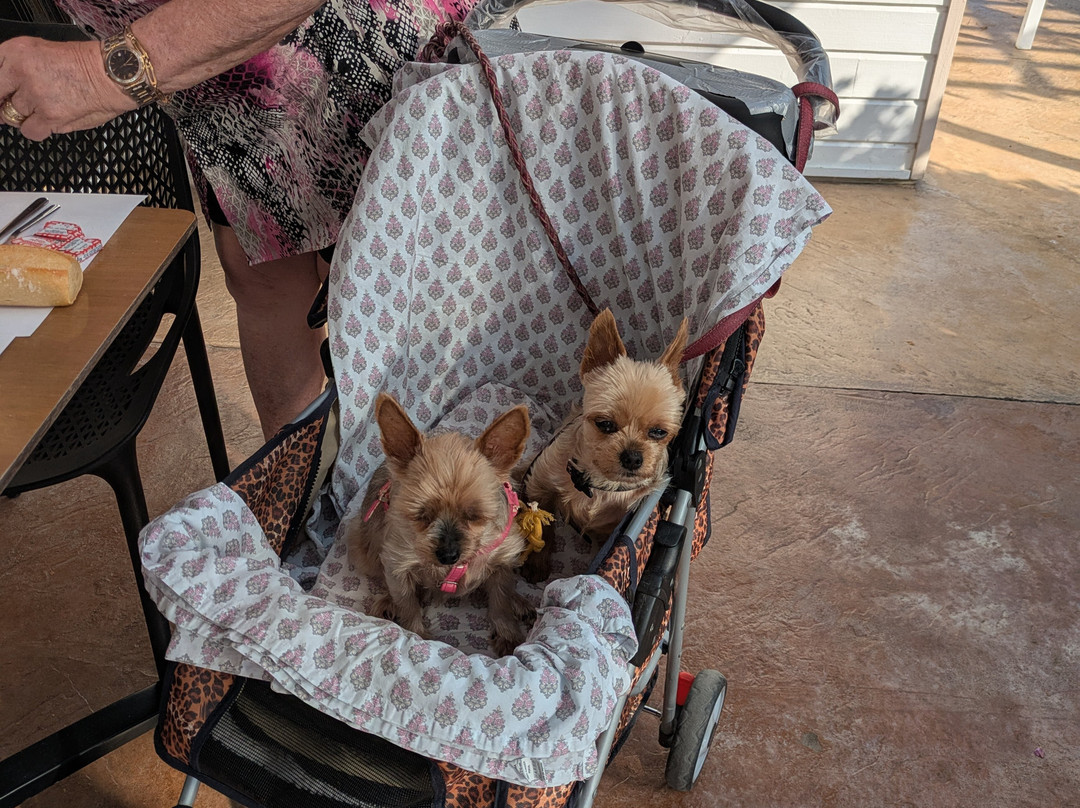 The Originals City, Hotel Le Lodge, Bayonne North主图