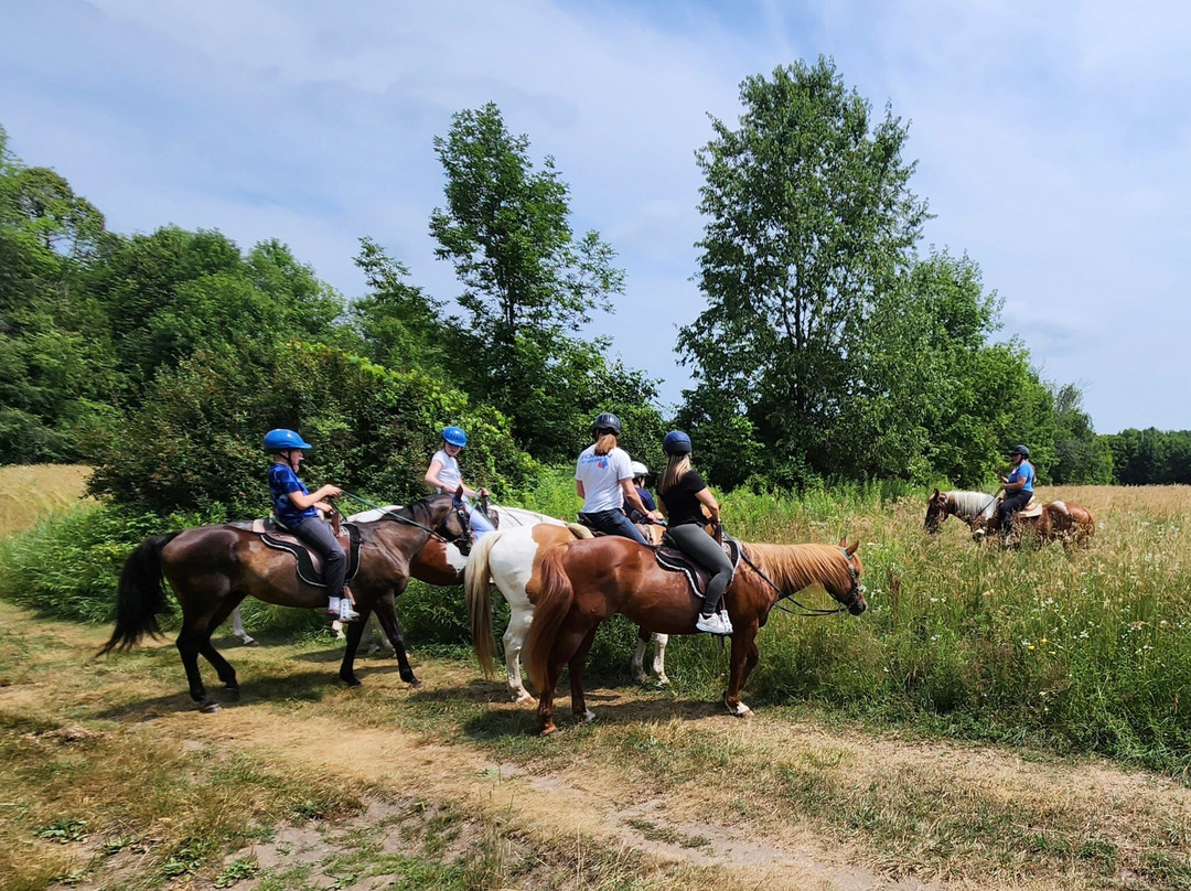 Horsin Around Riding Ranch-Marmora必去景点