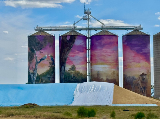 Thallon Silo Mural-Thallon必去景点