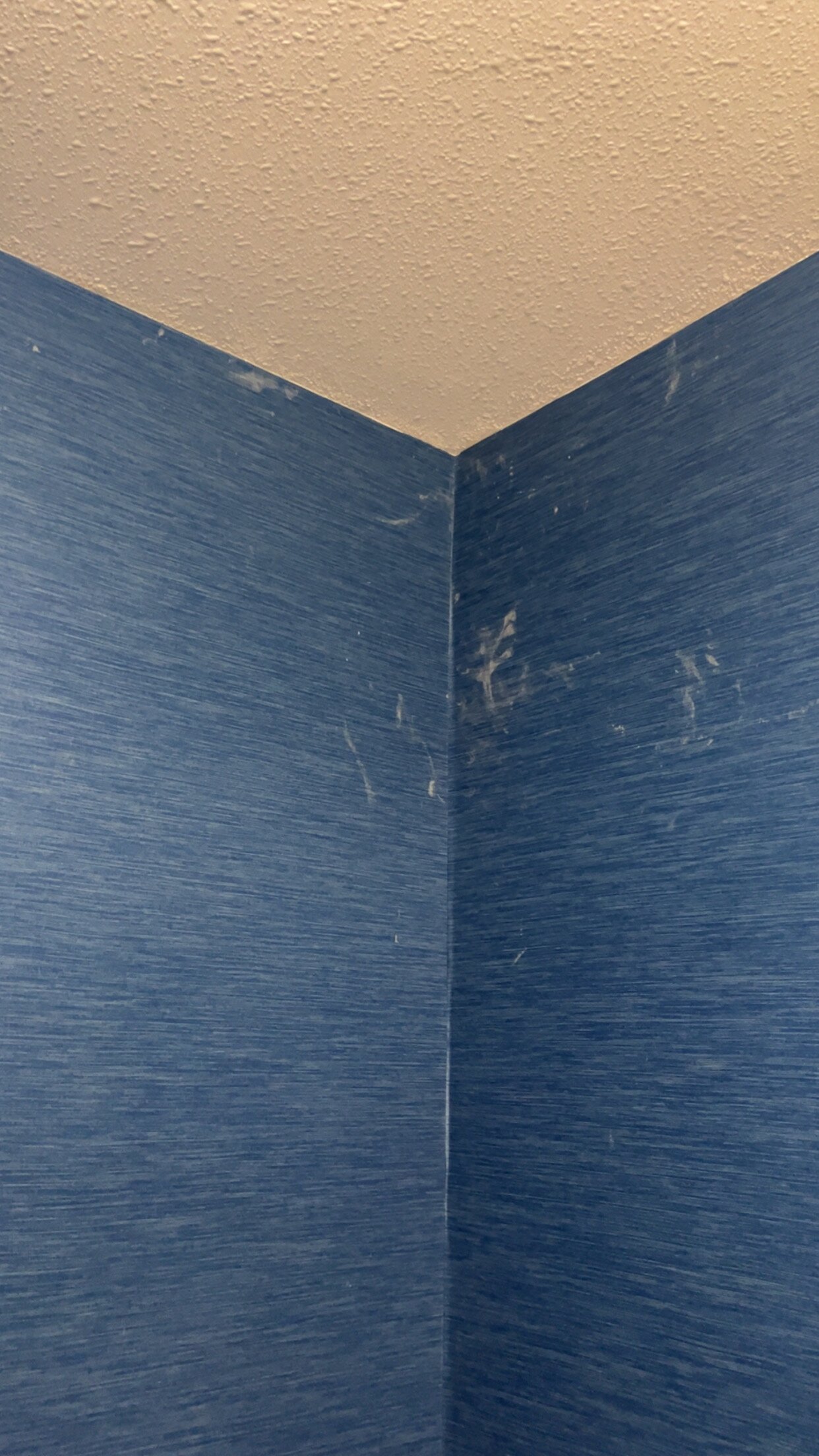 Holiday Inn Express & Suites Medicine Hat Transcanada Hwy 1 by IHG-客卧