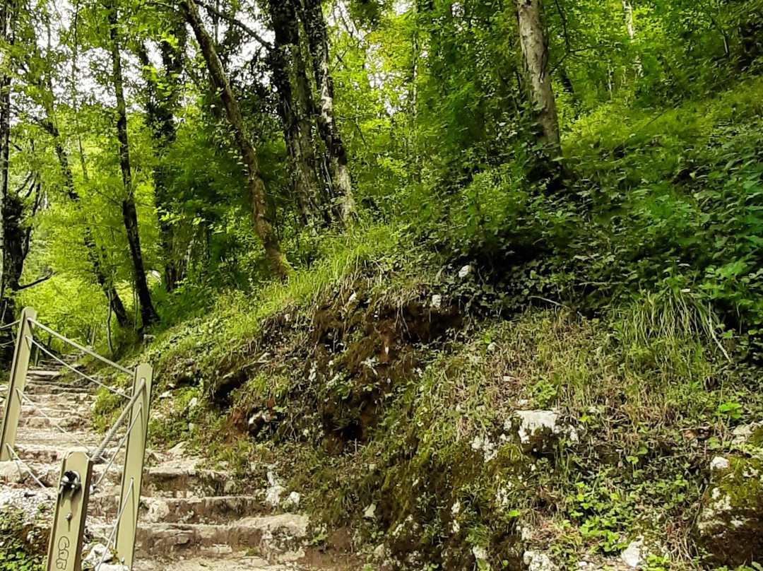 Tolmin Gorge-Tolmin必去景点