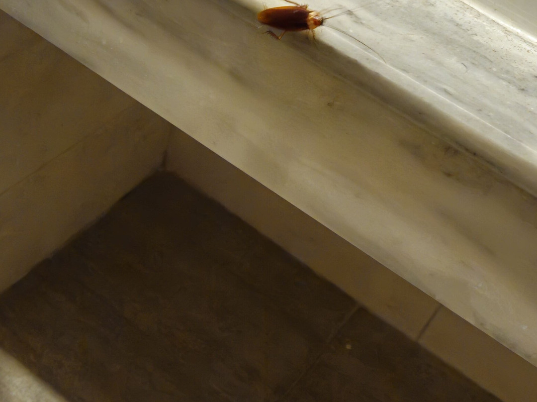 Evita Resort Hotel主图