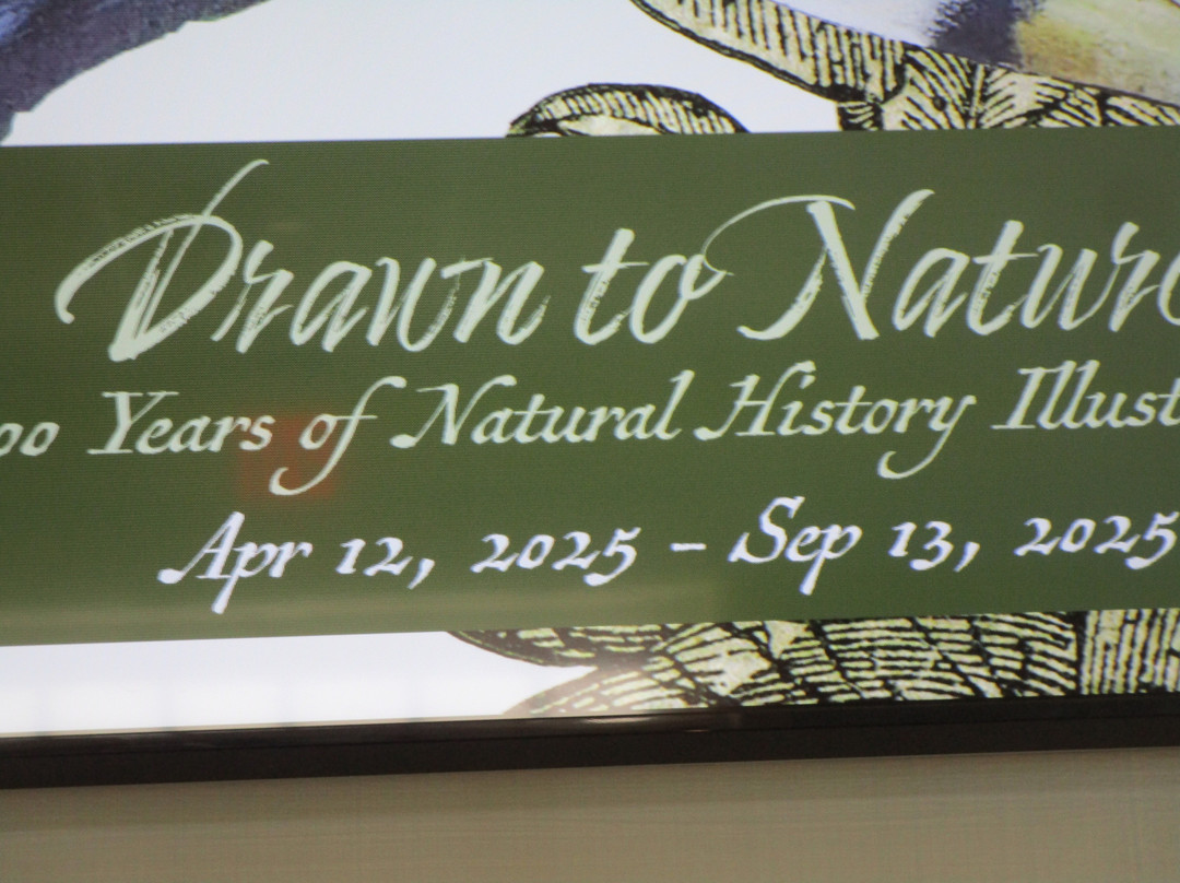 National Sporting Library & Museum-Middleburg必去景点