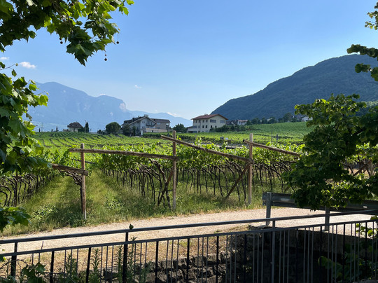 Garni Hotel Sonnleitenhof主图