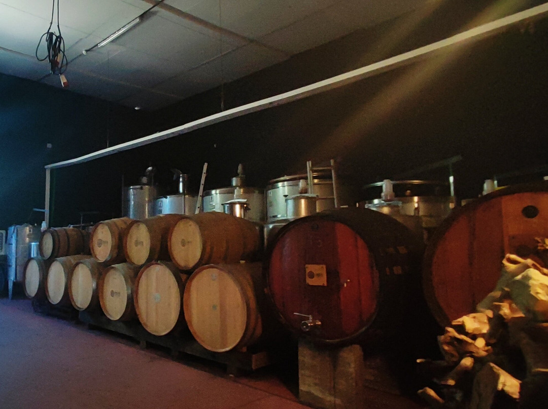 Prior Lucas Vinhos-科英布拉区必去景点