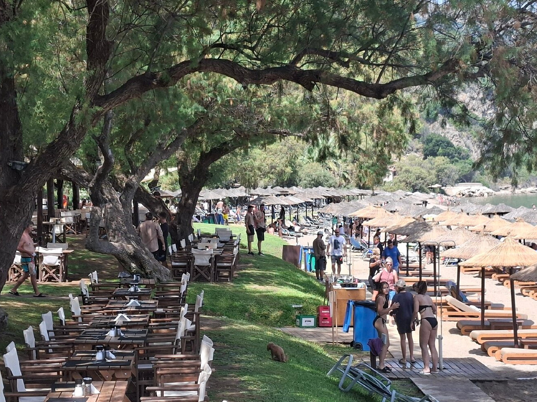 帕拉提诺酒店主图