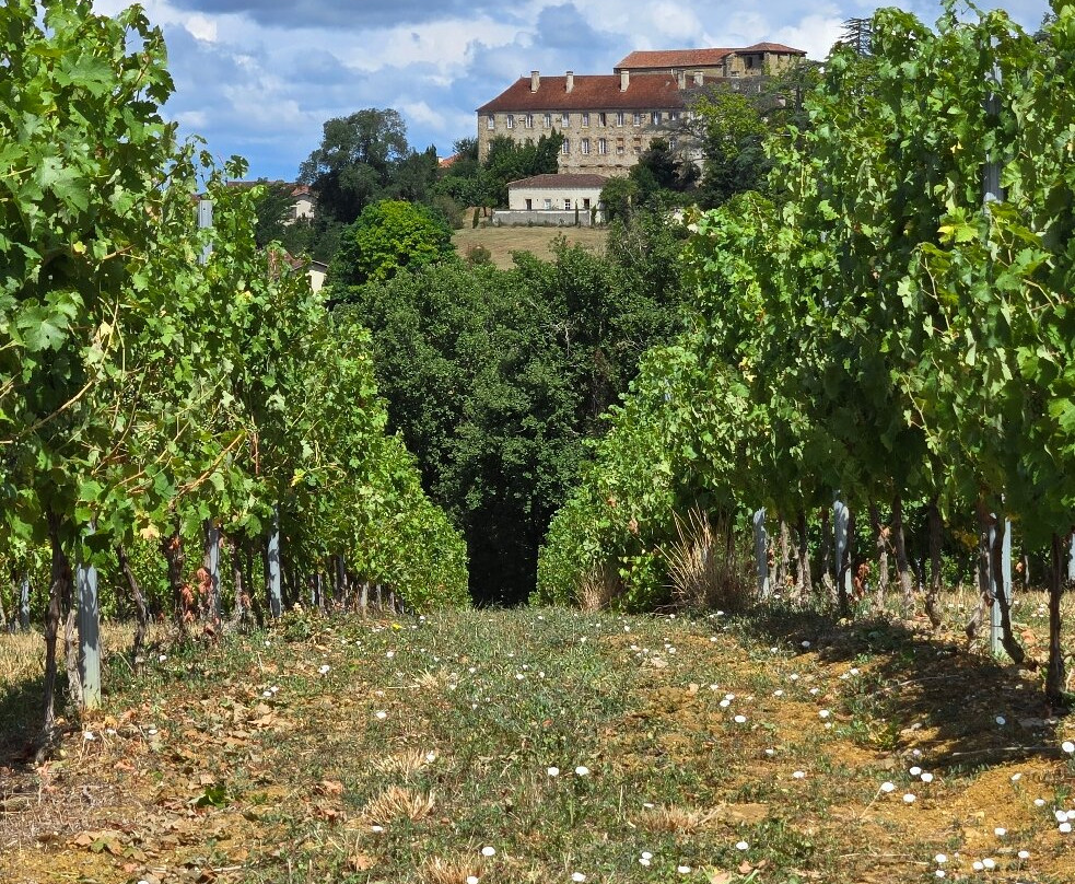 Plaimont-Saint-Mont必去景点