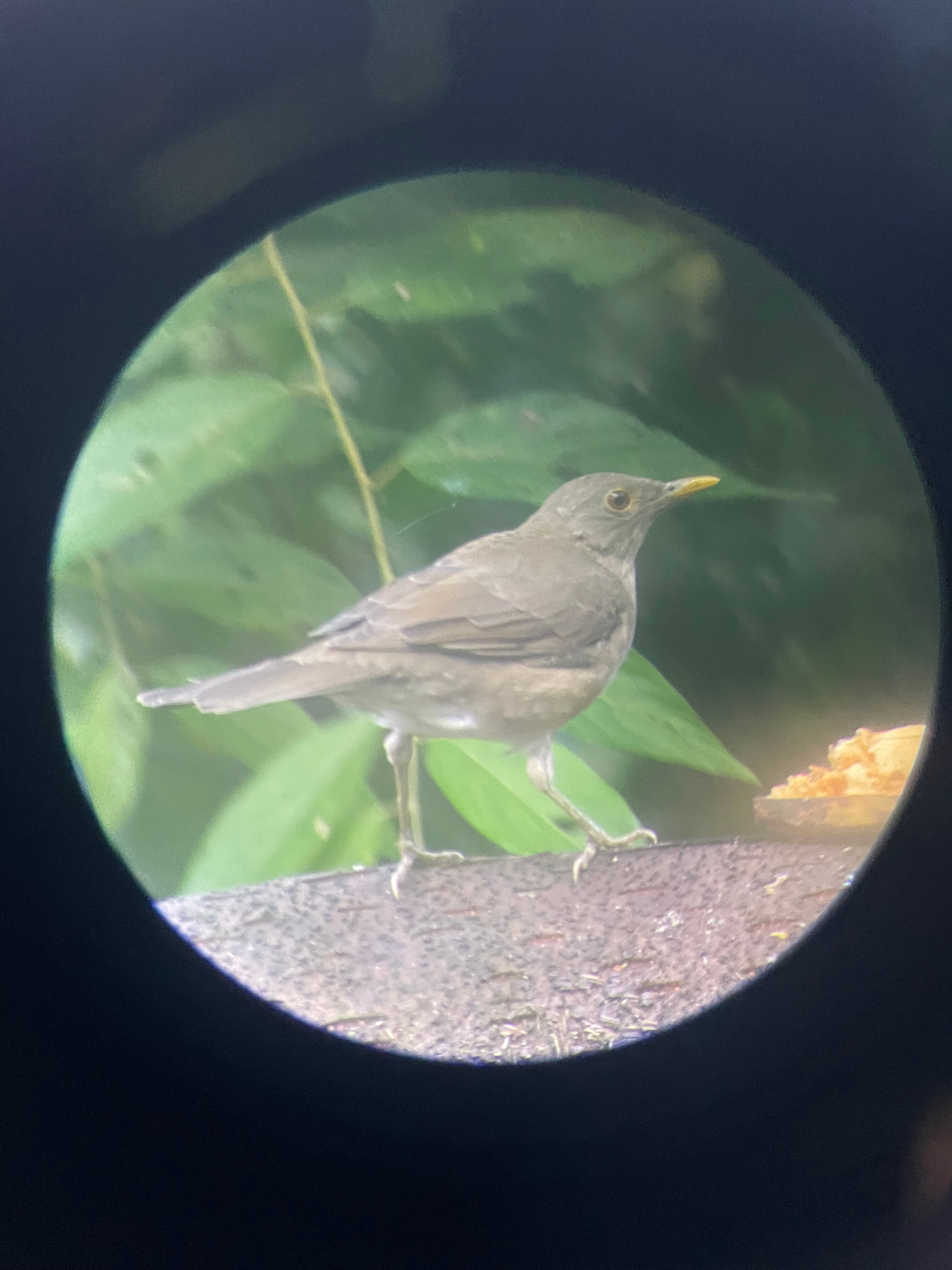 Kapari Natural Lodge & Spa-官方