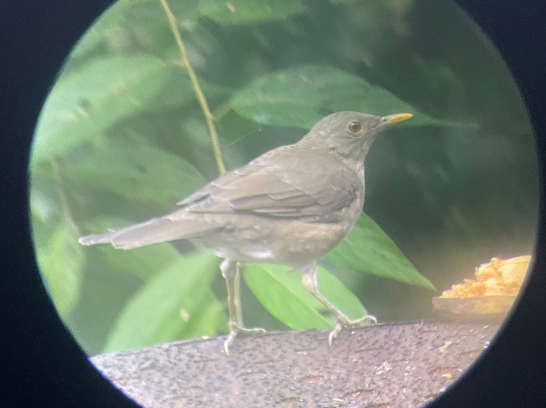 Kapari Natural Lodge & Spa主图