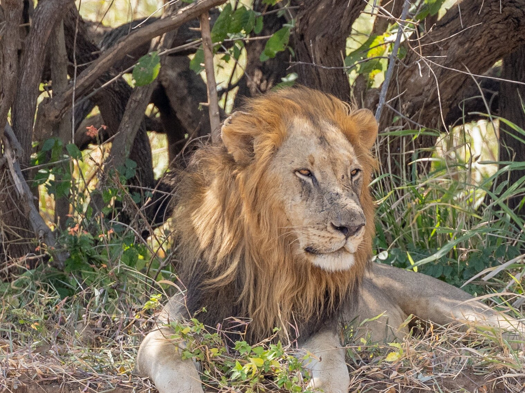 Mchaka Mchaka Tours-Mloka必去景点