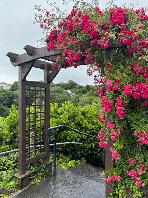 Falls Hotel & Spa主图