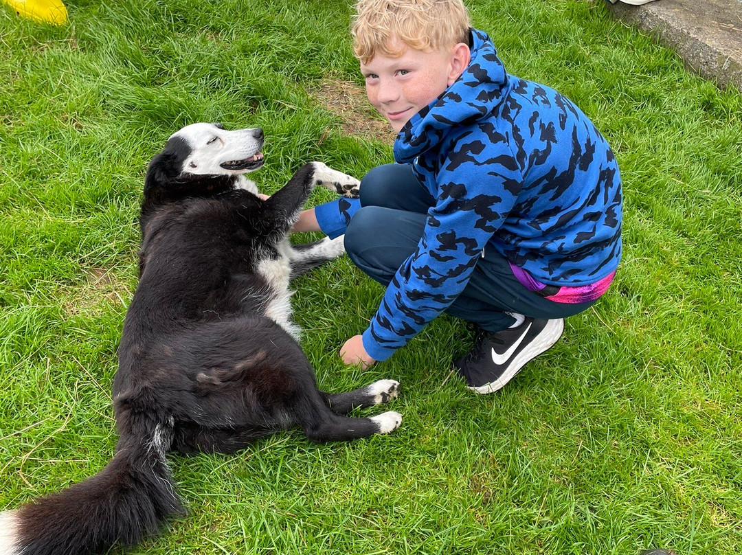 Hidden Hills Waterville-Waterville必去景点