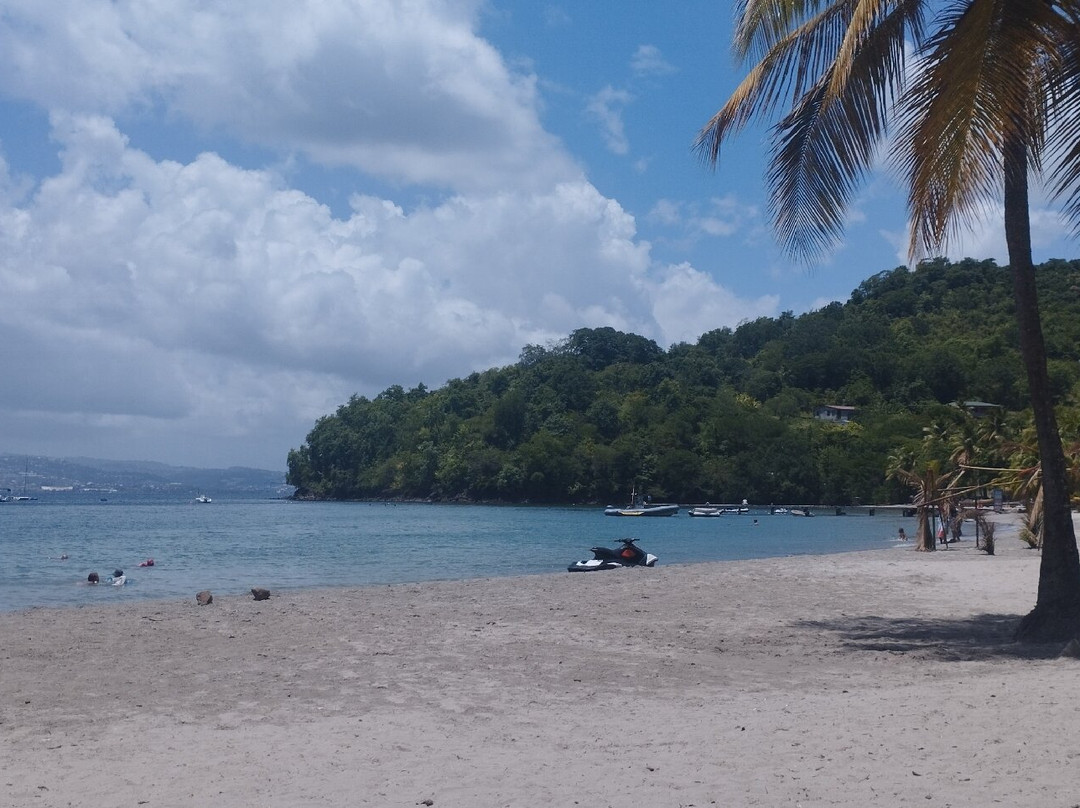 Anse-à-l'Ane-Trois-Ilets必去景点