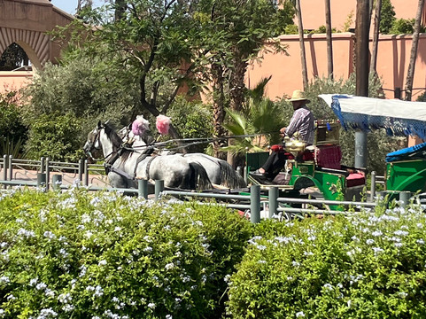 Marrakech Train Station-马拉喀什必去景点