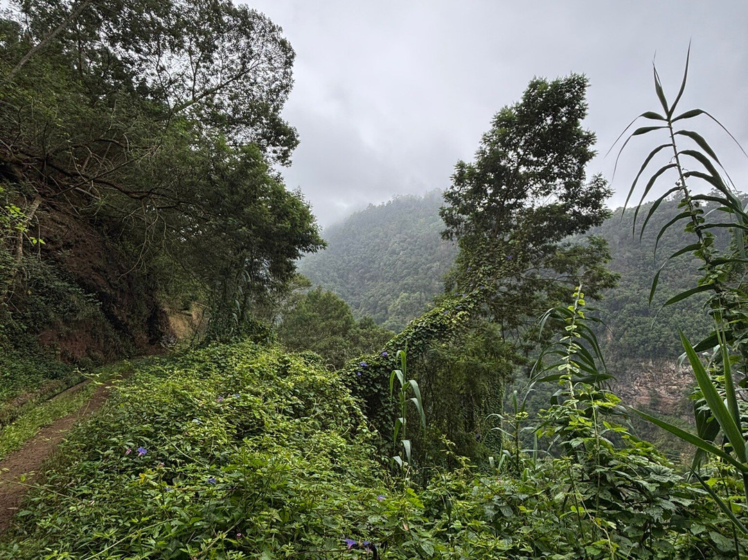 Levada do Castelejo-马希科必去景点