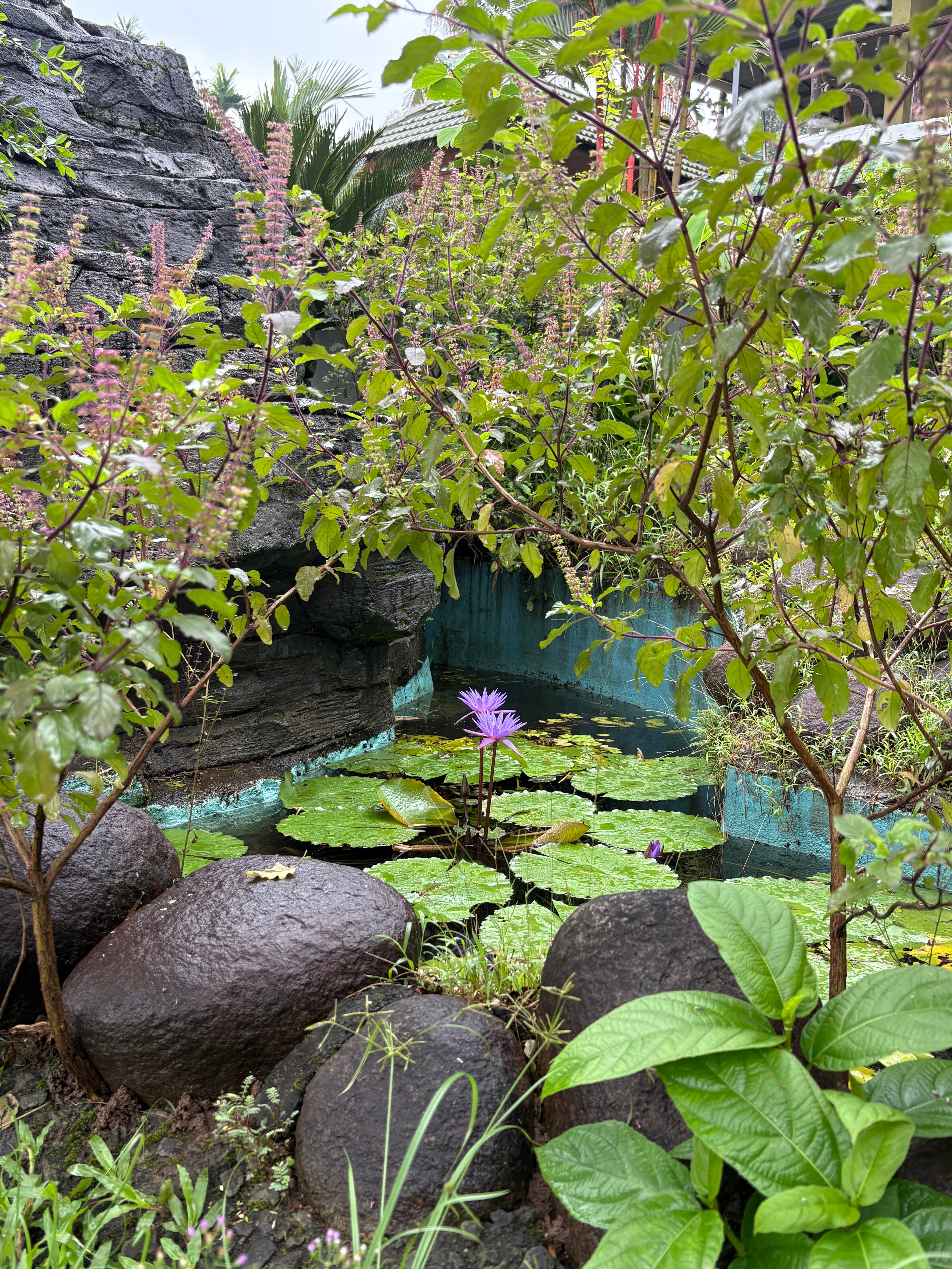 Elephant Pass Ayurveda & Yoga Retreat-浴室
