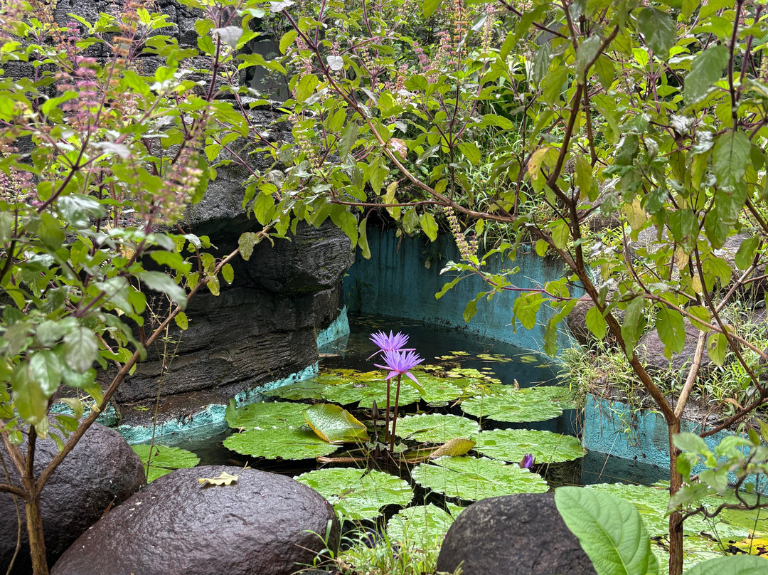 Elephant Pass Ayurveda & Yoga Retreat主图