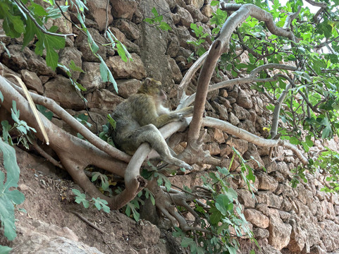 morocco travel holidays-卡萨布兰卡必去景点