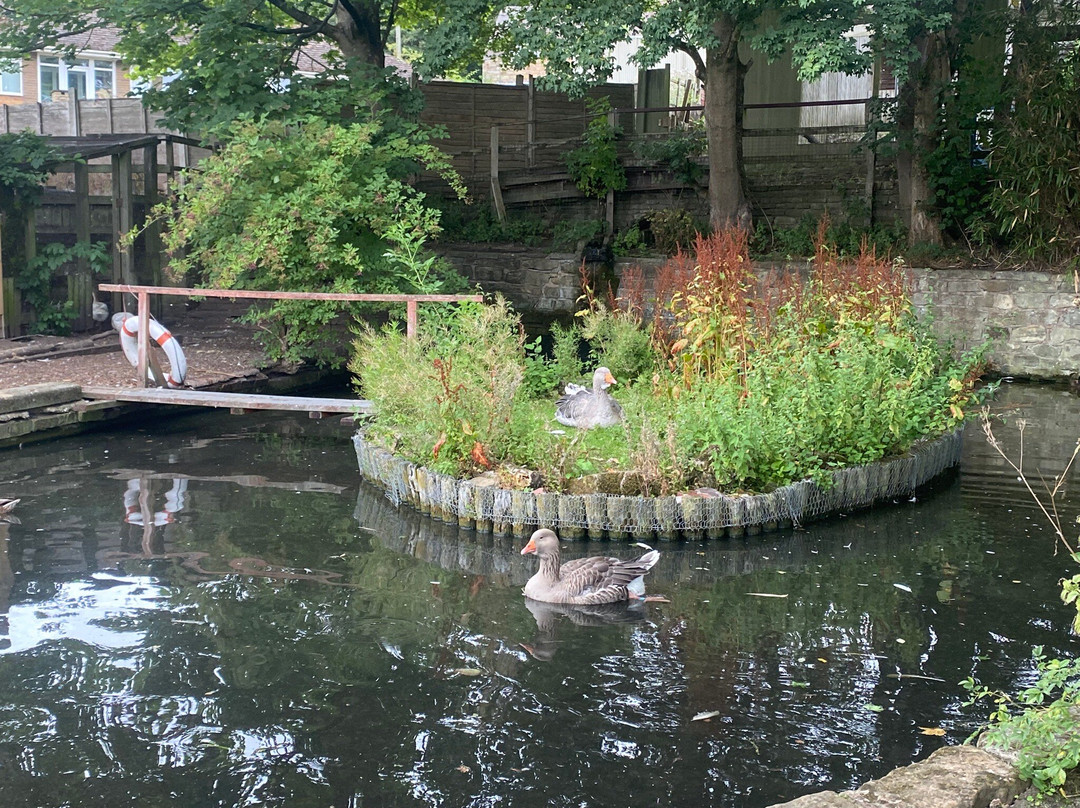 Brockswood Animal Sanctuary-Dudley必去景点