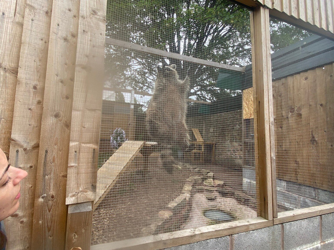 Brockswood Animal Sanctuary-Dudley必去景点