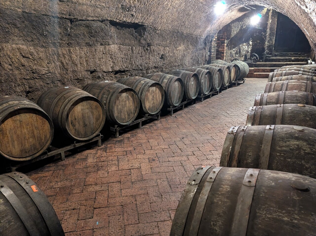 Cantine del Notaio-Rionero in Vulture必去景点