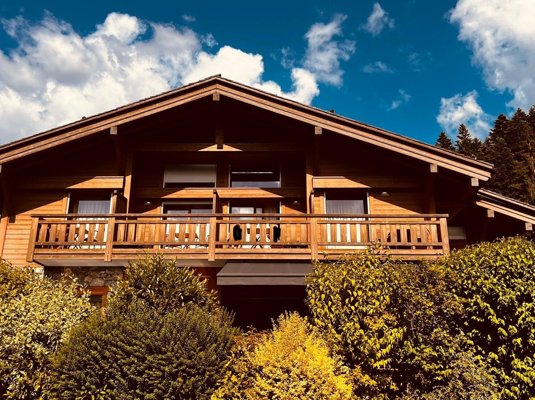 Hotel Le Delta主图