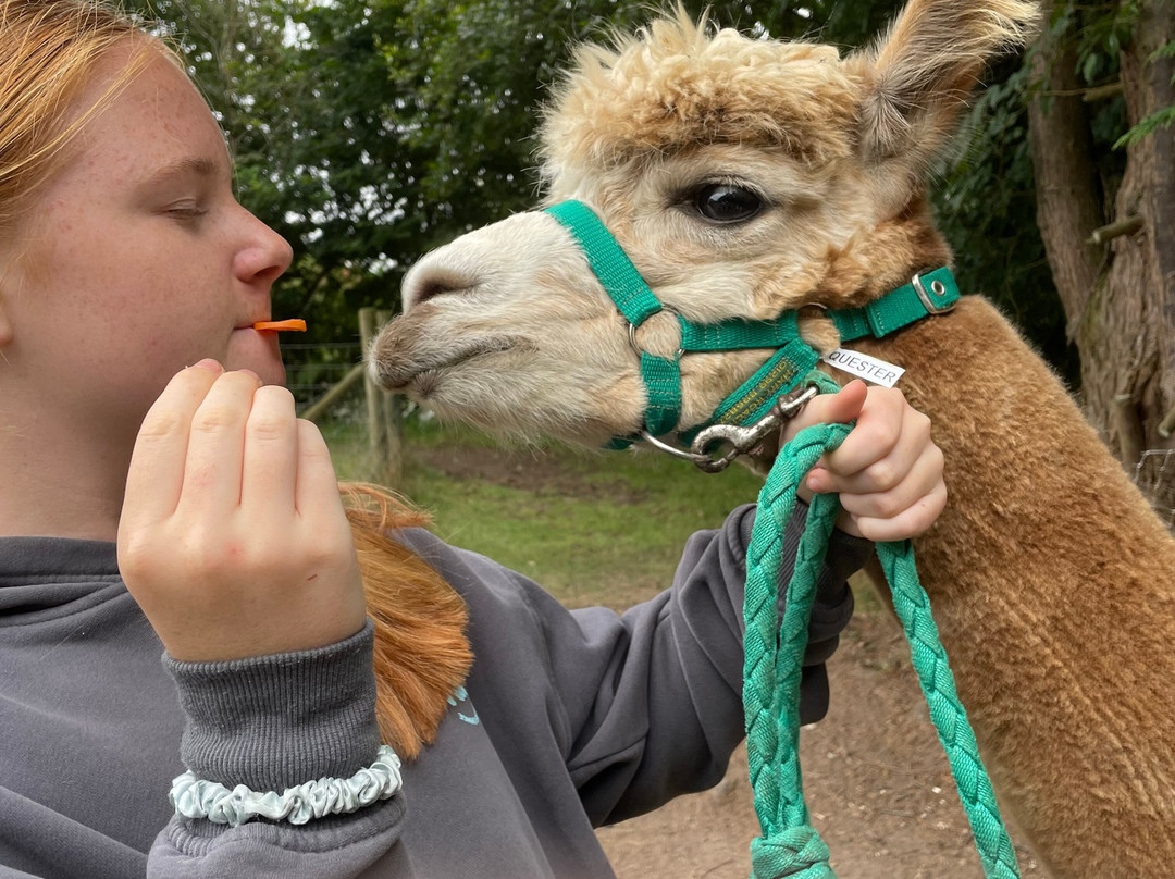 Woolley Animals Farm Park-Winkleigh必去景点