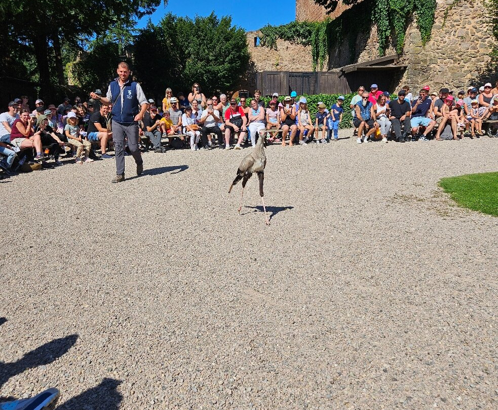 La Volerie des Aigles-Kintzheim必去景点