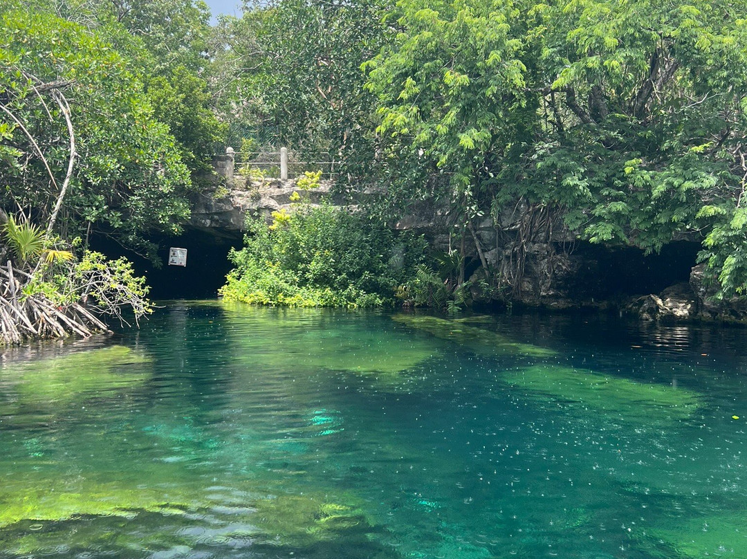 Cenote Cristalino-普拉亚德尔卡曼必去景点