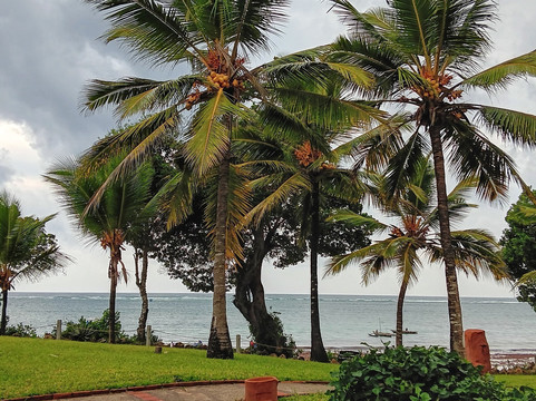 Kizo Safaris-内罗毕必去景点