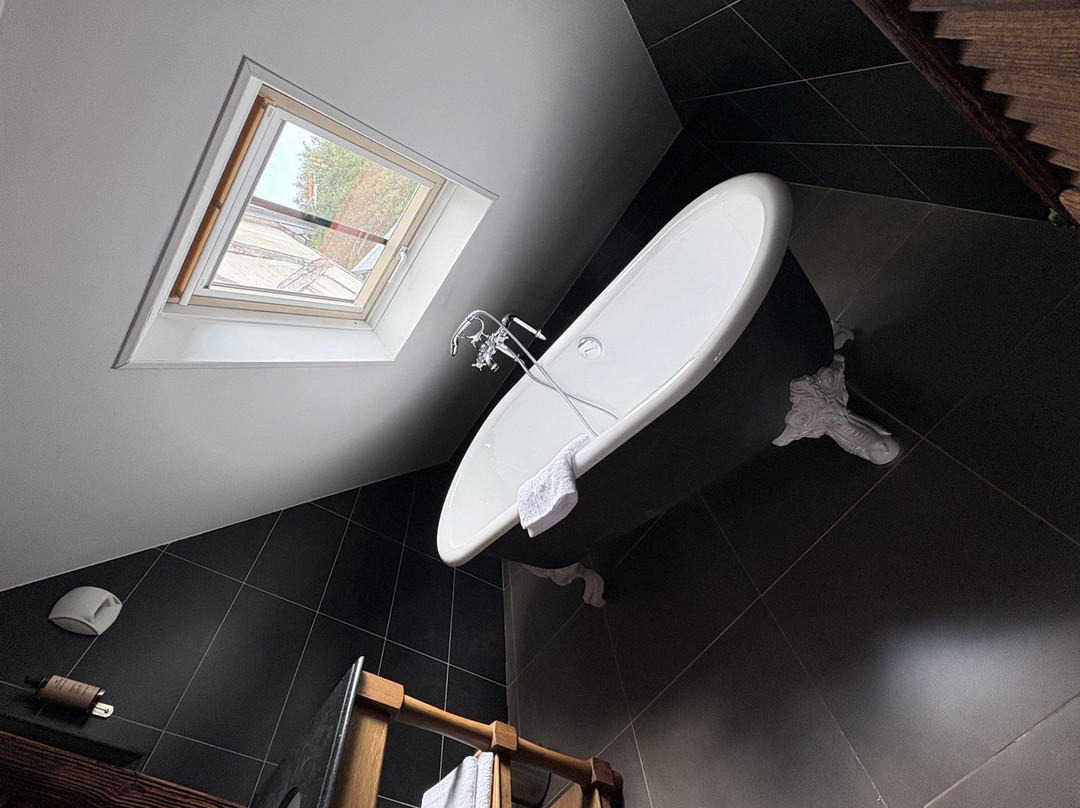 Hôtel Le Grand Cerf主图