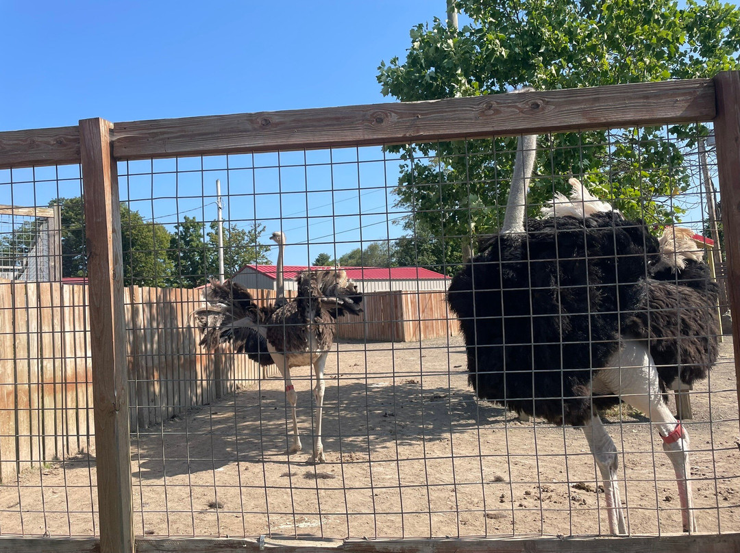 Animal Adventure Park-Harpursville必去景点