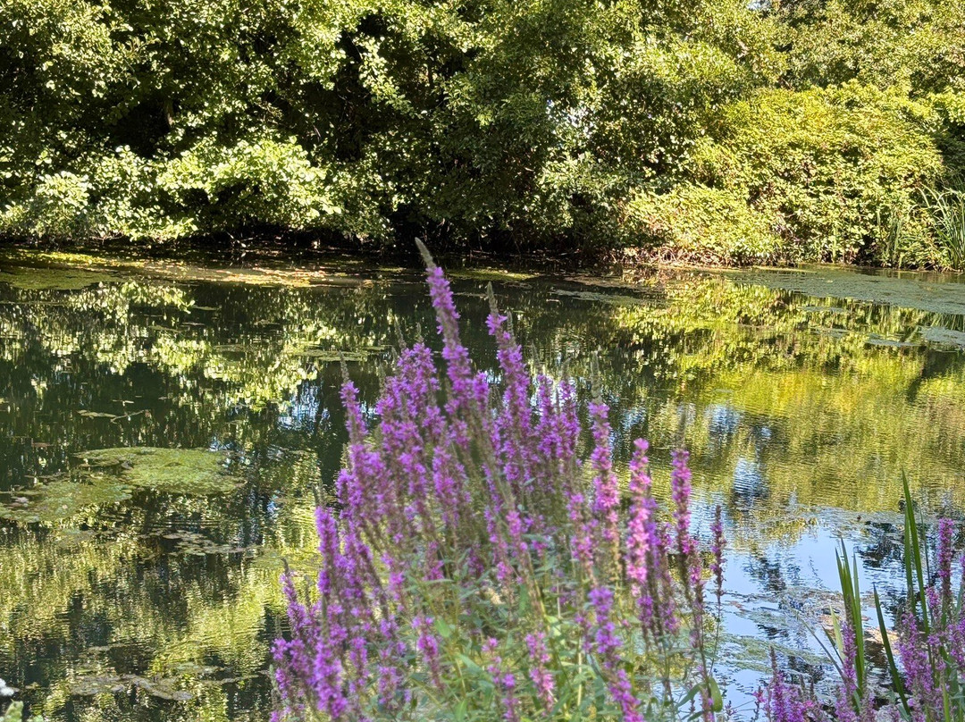 Pont Canal de Briare-Briare必去景点