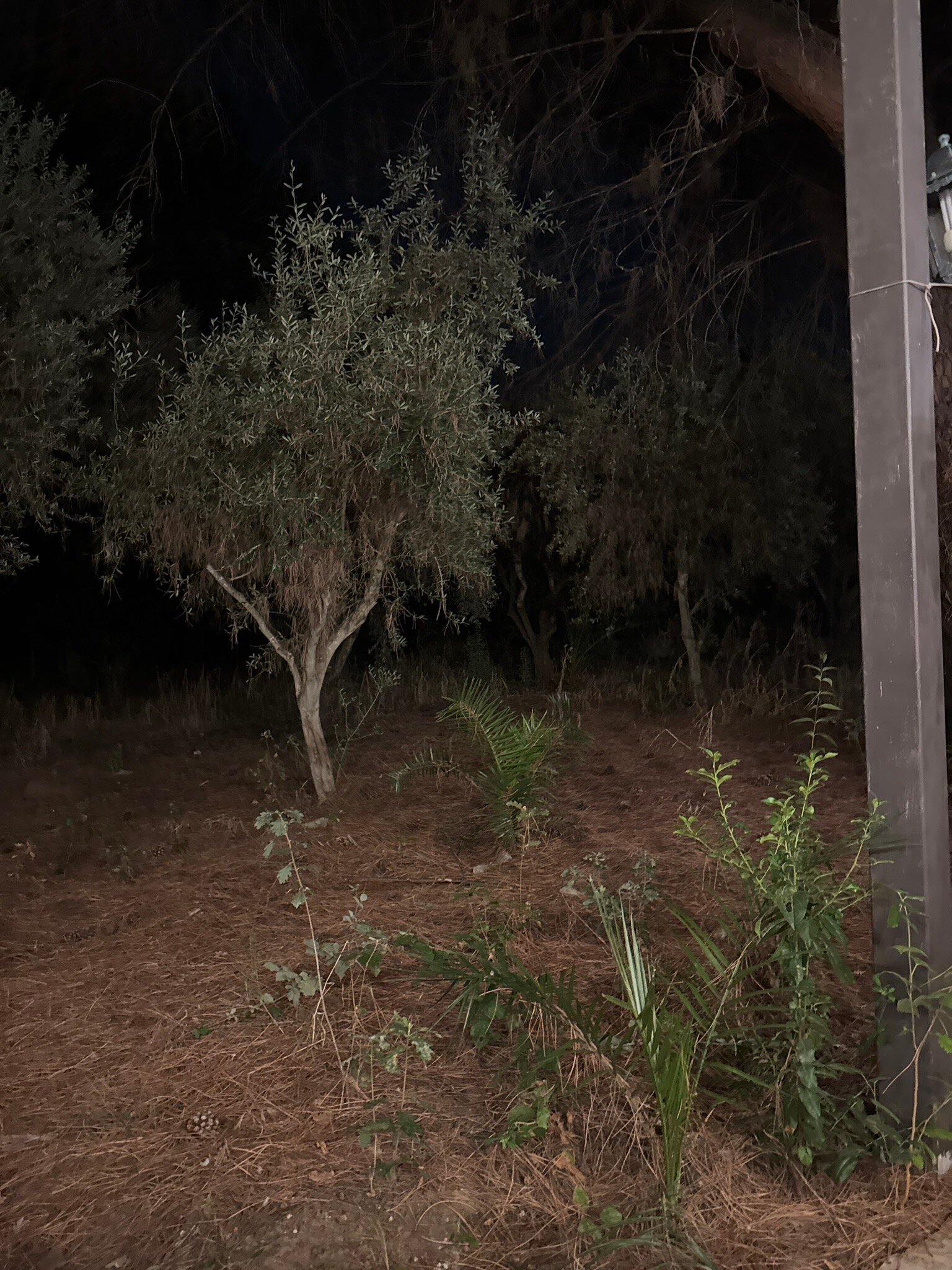 Hotel Due Monti-官方