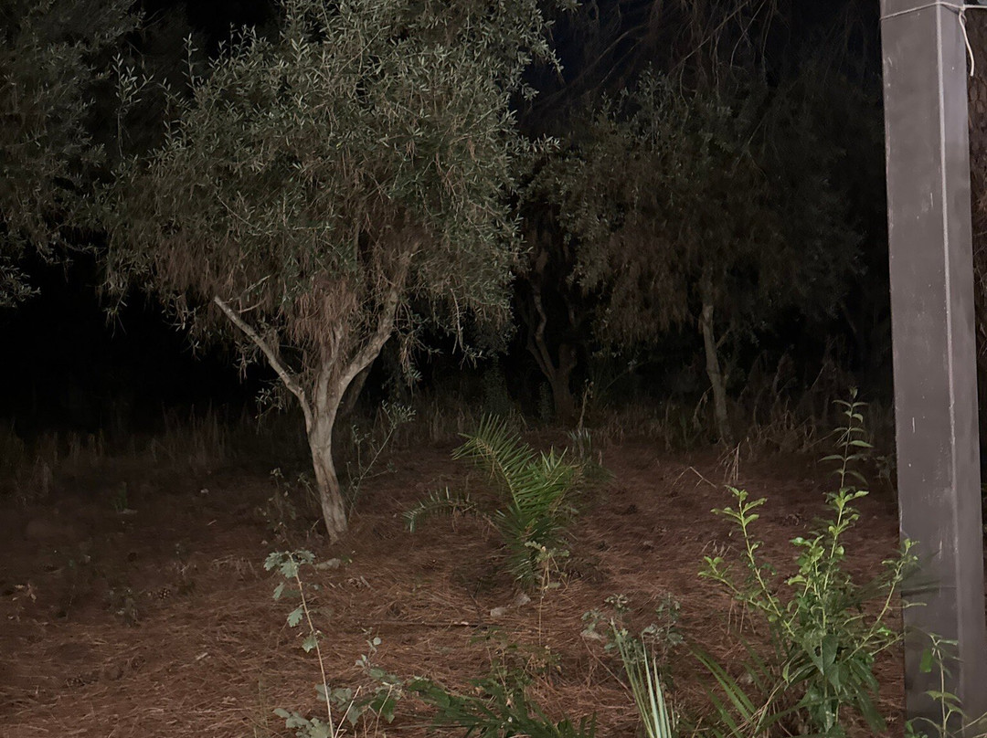 Hotel Due Monti主图