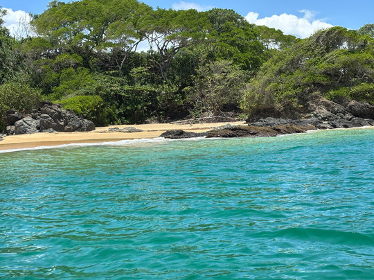 Experience Adventure Time Tobago-多巴哥必去景点