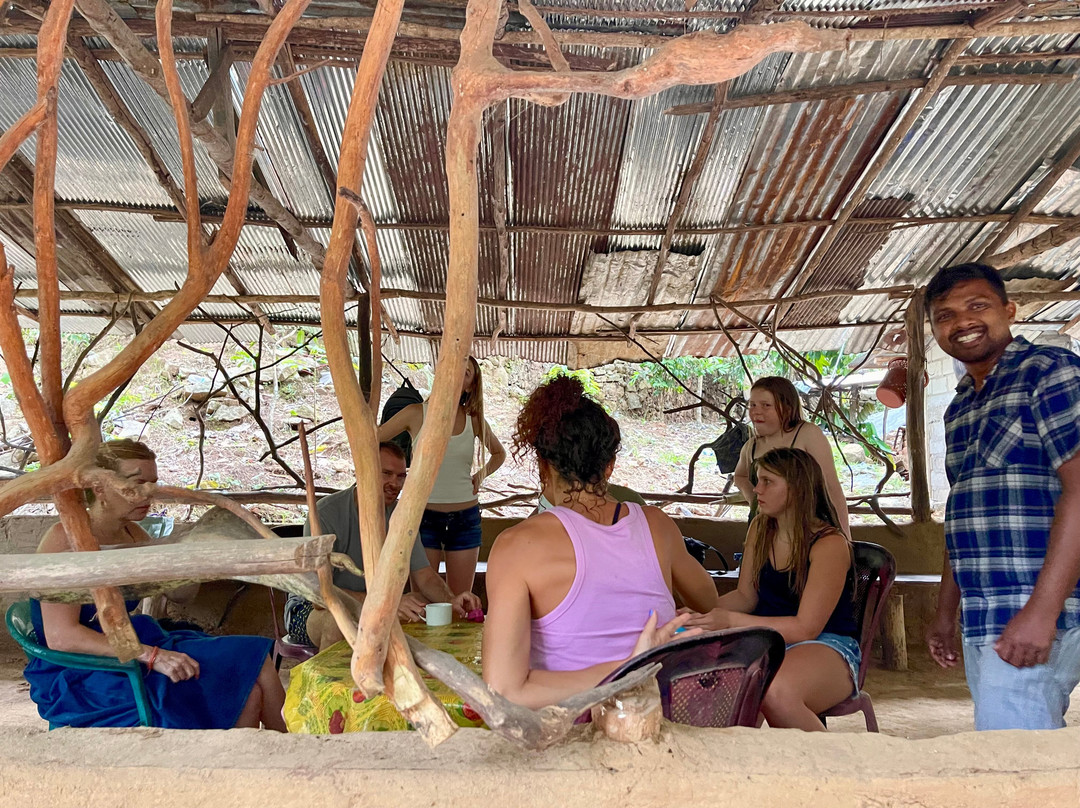 Miles In Paradise-哈巴拉杜瓦必去景点