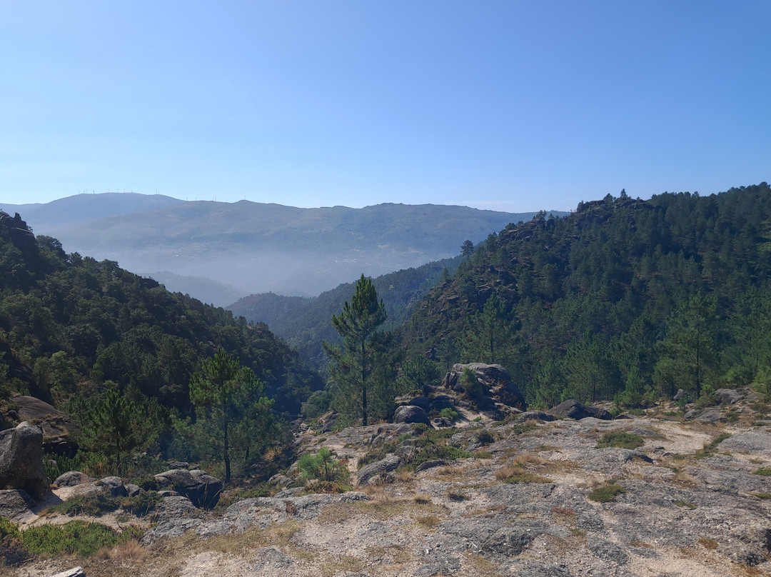 Residencial Verde Pinho主图