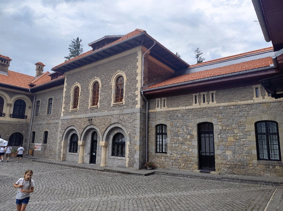 Cantacuzino Castle-布什泰尼必去景点
