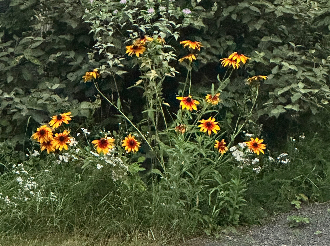 Artesian House Bed & Breakfast主图